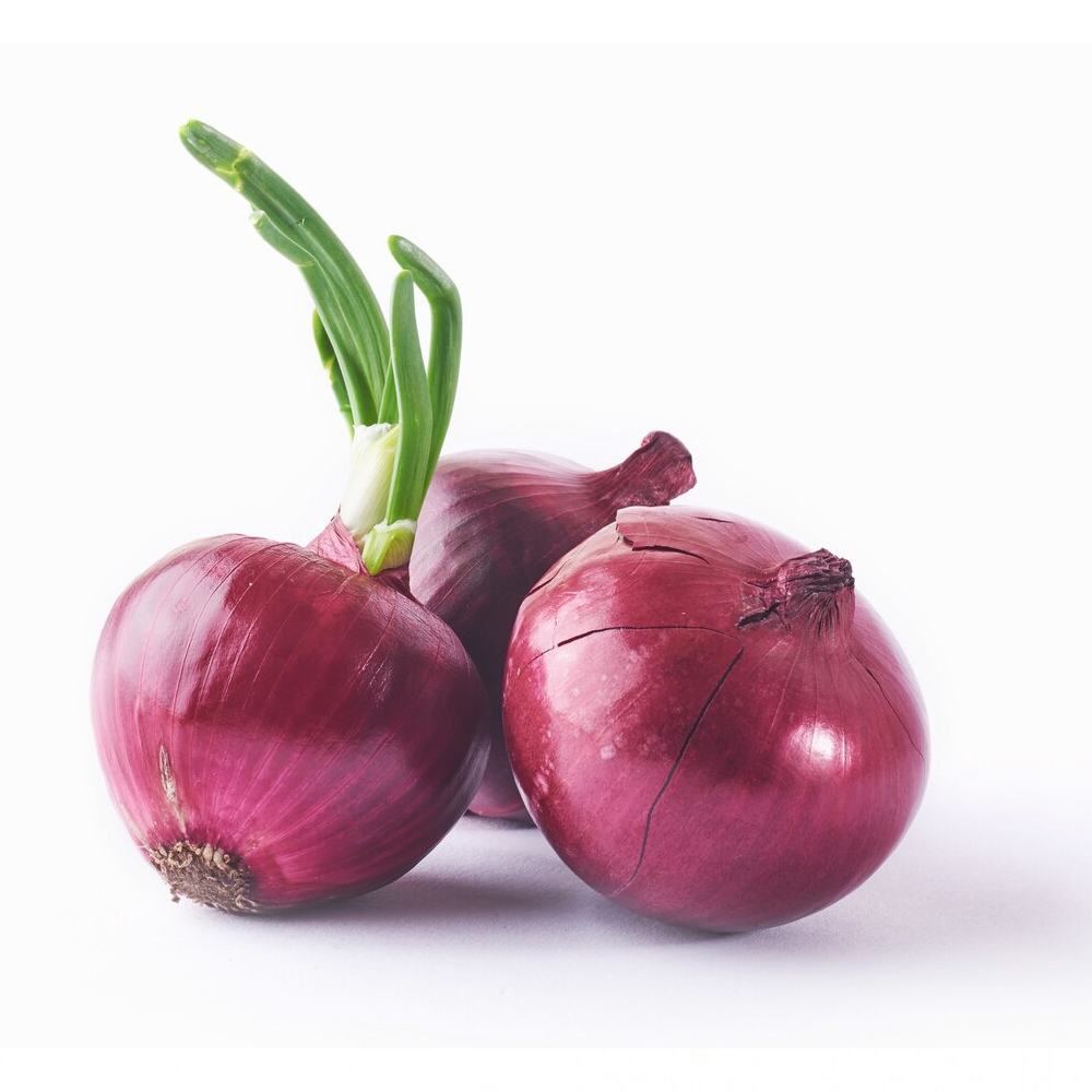 Onions are a versatile ingredient  base