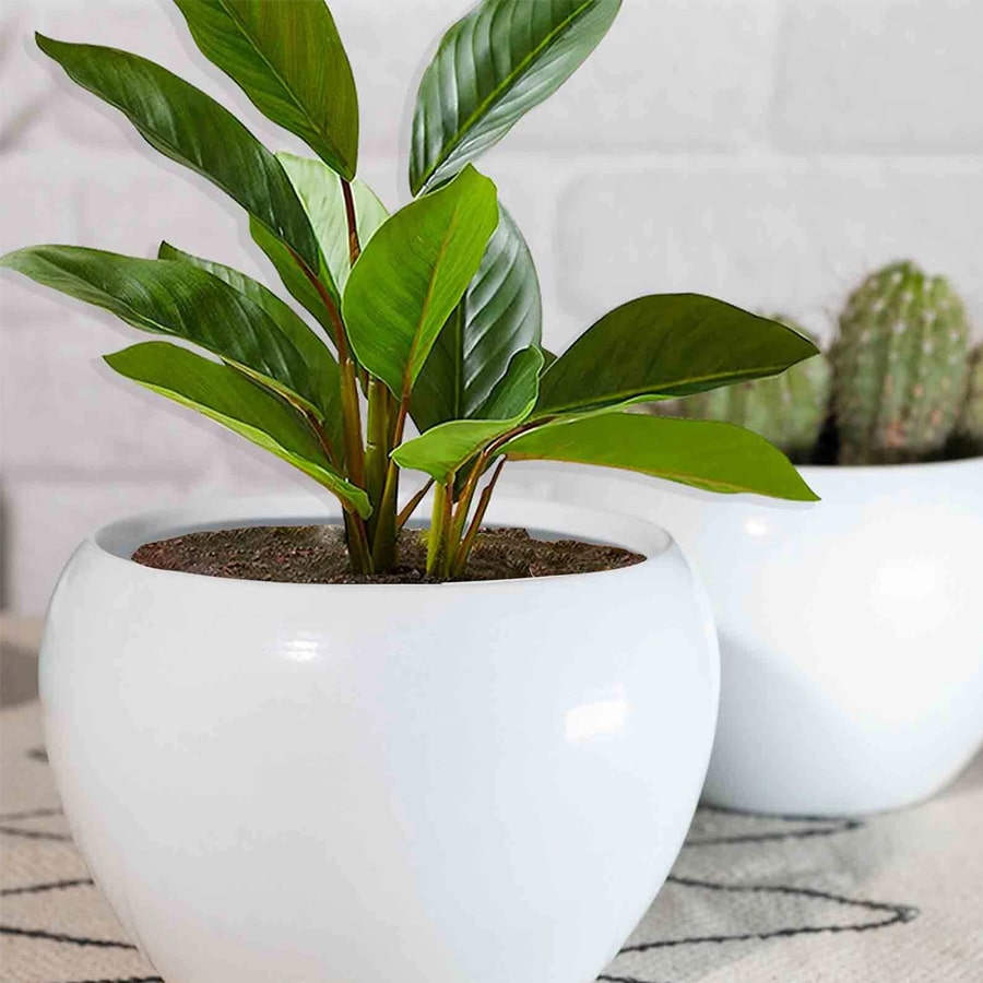 White Metal Indoor and Outdoor Desk Pot
