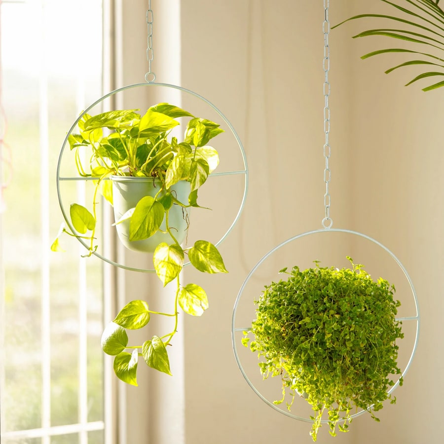 Set of 2 Hanging Planters