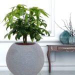 Grey Polyethylene Floor